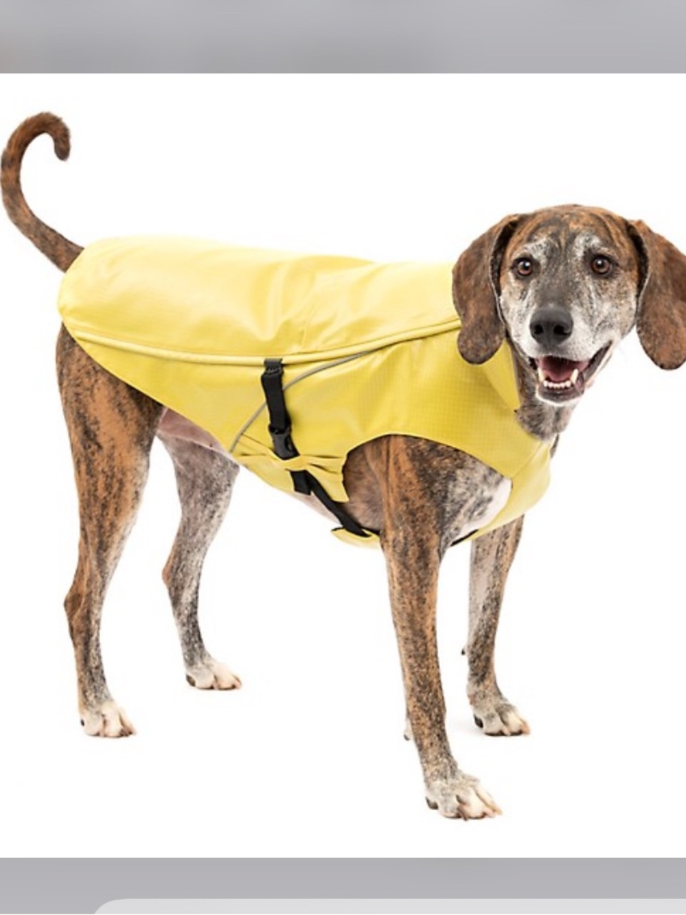 NWT Kurgo Halifax Rain Shell Dog Jacket Small